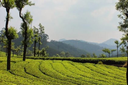best-time-to-visit-in-south-India