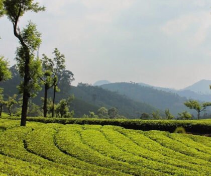 best-time-to-visit-in-south-India
