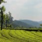 best time to visit in south India 85x85