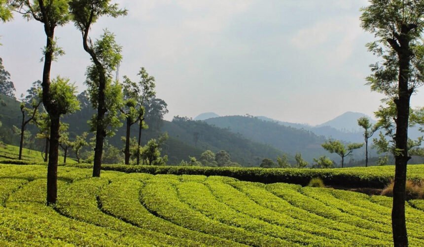 best-time-to-visit-in-south-India