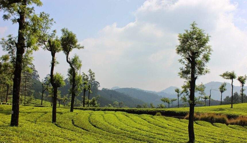 southindia