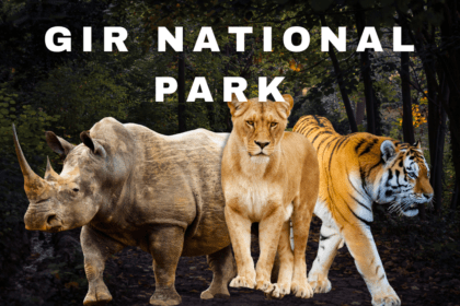 Gir National Park
