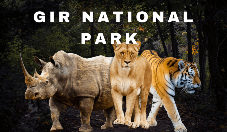 Gir National Park
