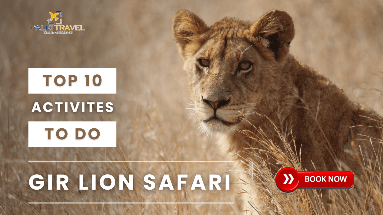 Gir National Park Safari