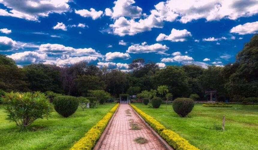 visit in Bangalore