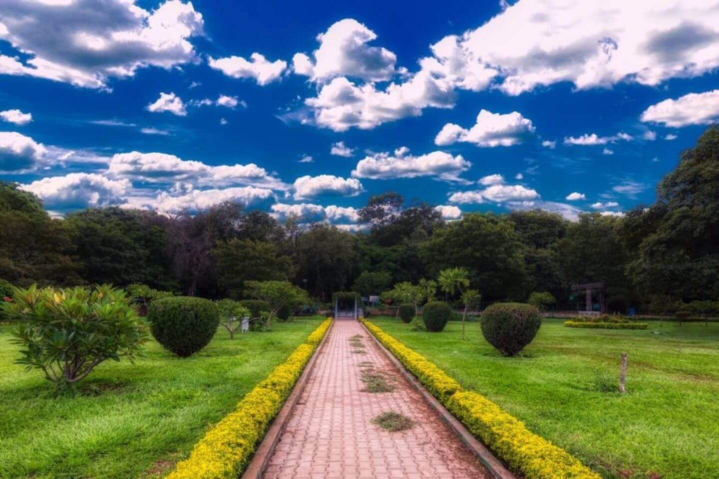 visit in Bangalore
